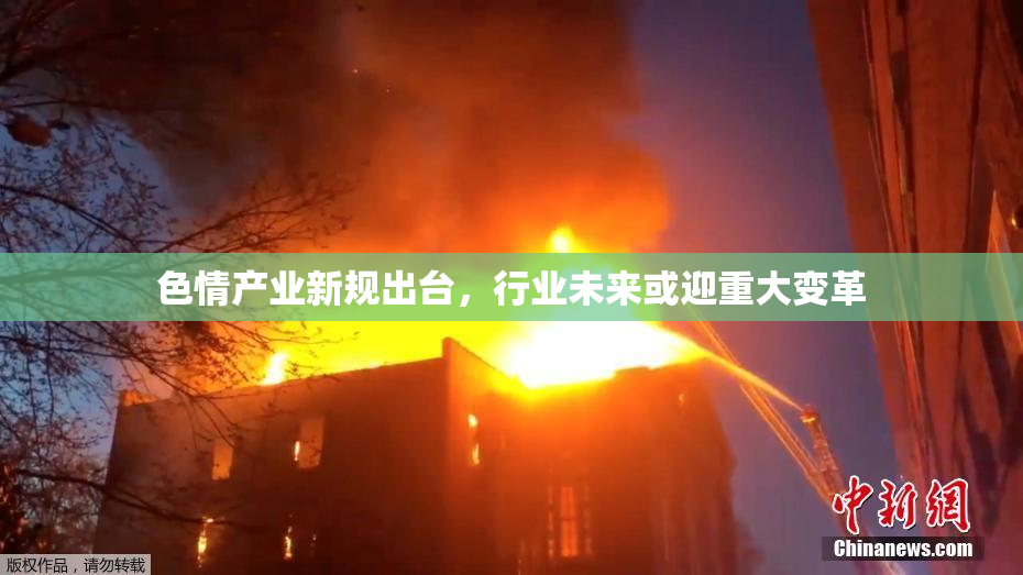 色情产业新规出台，行业未来或迎重大变革