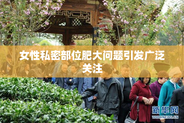 女性私密部位肥大问题引发广泛关注