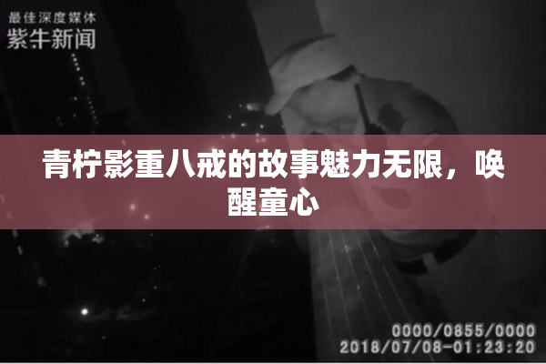 青柠影重八戒的故事魅力无限，唤醒童心