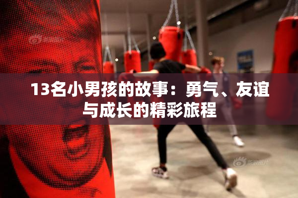 13名小男孩的故事：勇气、友谊与成长的精彩旅程