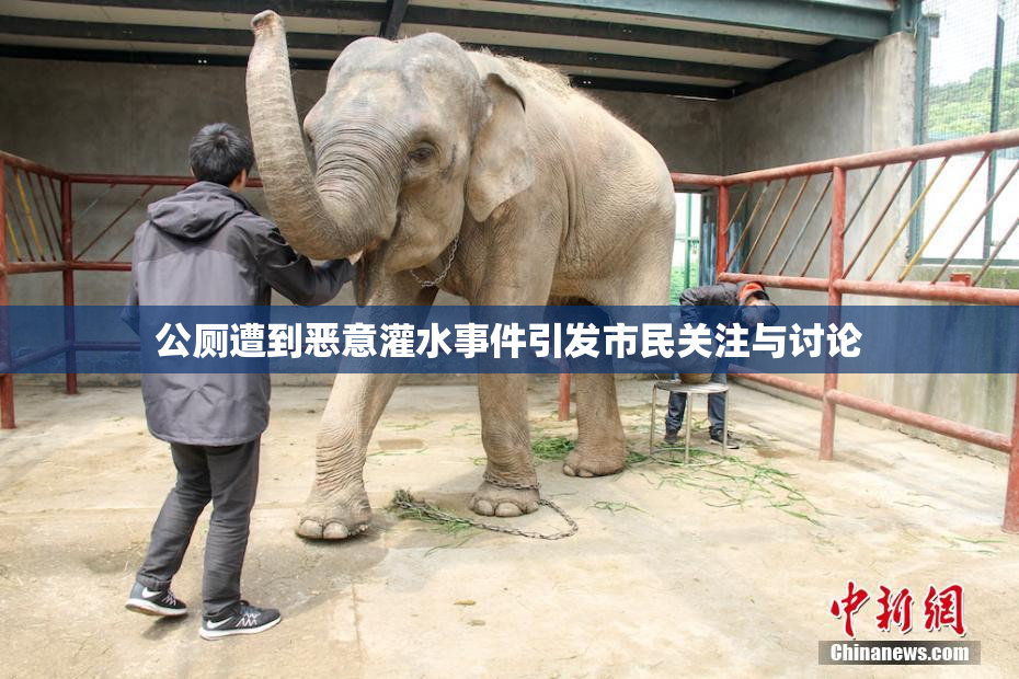 公厕遭到恶意灌水事件引发市民关注与讨论
