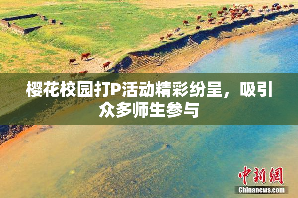 樱花校园打P活动精彩纷呈，吸引众多师生参与