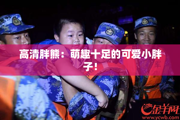 高清胖熊：萌趣十足的可爱小胖子！
