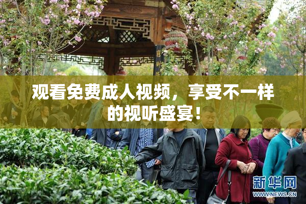 观看免费成人视频，享受不一样的视听盛宴！