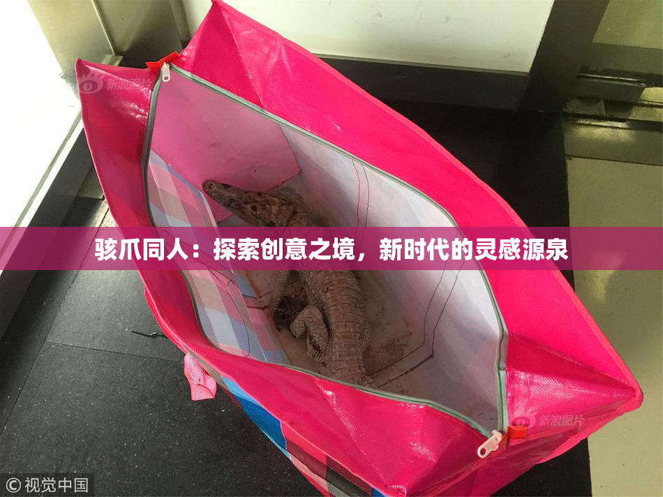 骇爪同人：探索创意之境，新时代的灵感源泉