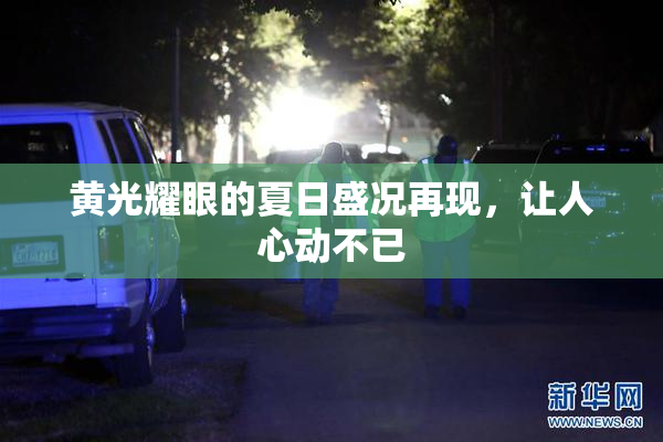 黄光耀眼的夏日盛况再现，让人心动不已