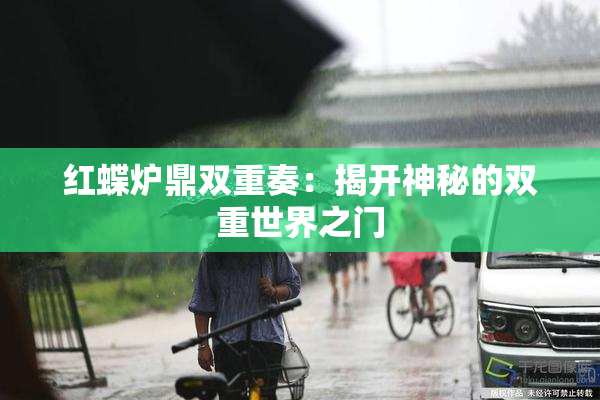 红蝶炉鼎双重奏：揭开神秘的双重世界之门