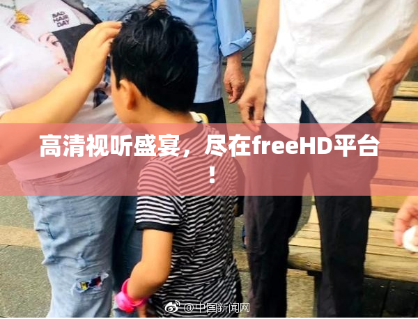高清视听盛宴，尽在freeHD平台！