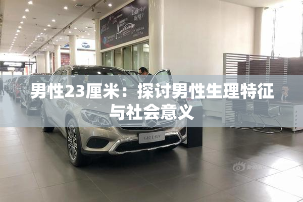 男性23厘米：探讨男性生理特征与社会意义