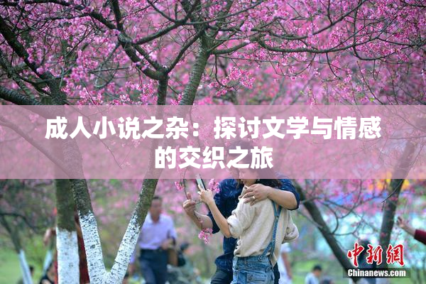 成人小说之杂：探讨文学与情感的交织之旅