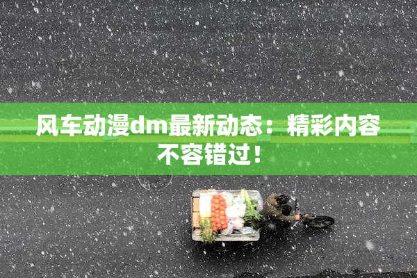 风车动漫dm最新动态：精彩内容不容错过！