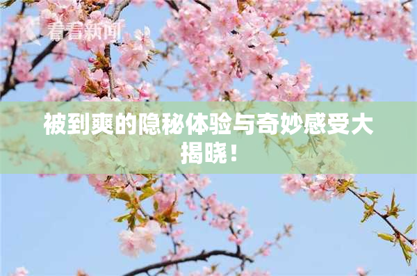 被到爽的隐秘体验与奇妙感受大揭晓！