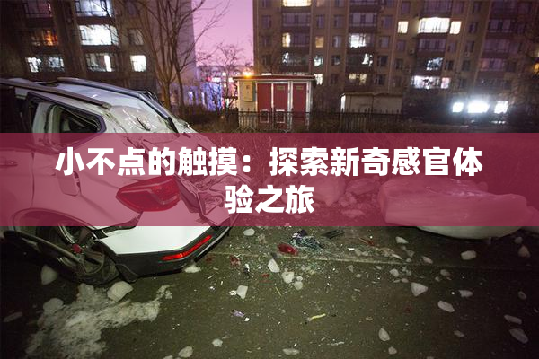 小不点的触摸：探索新奇感官体验之旅
