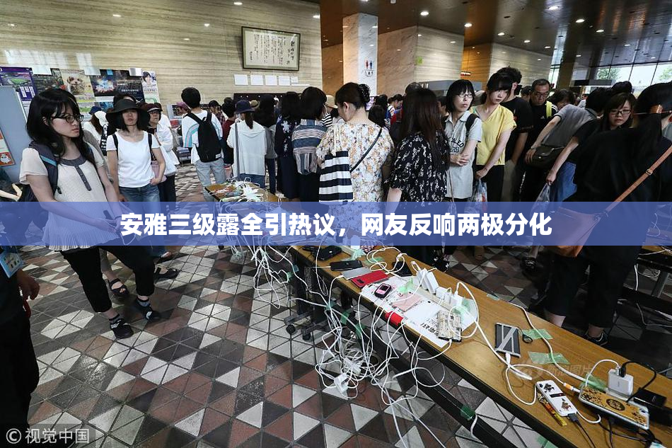 安雅三级露全引热议，网友反响两极分化