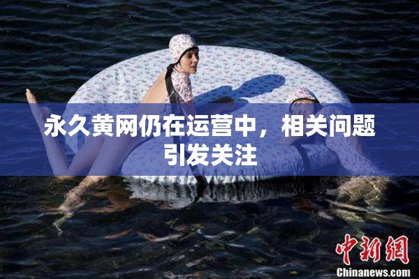 永久黄网仍在运营中，相关问题引发关注