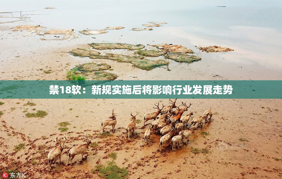 禁18软：新规实施后将影响行业发展走势