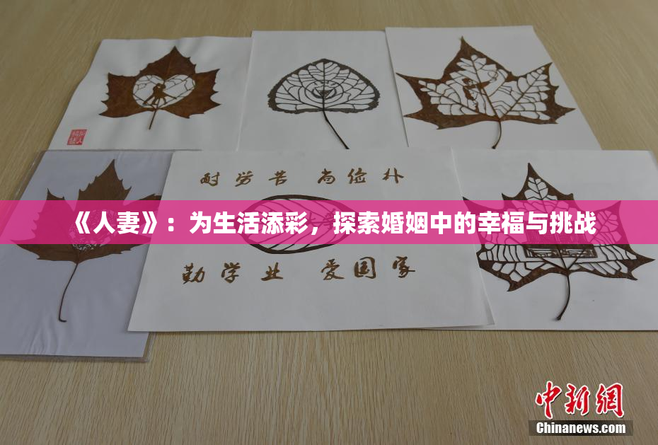 《人妻》：为生活添彩，探索婚姻中的幸福与挑战