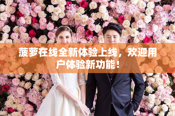 菠萝在线全新体验上线，欢迎用户体验新功能！
