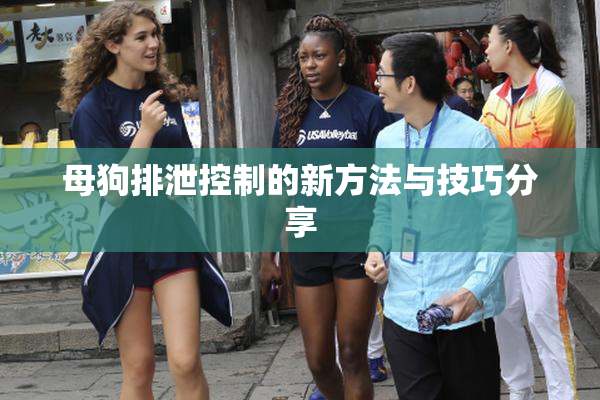 母狗排泄控制的新方法与技巧分享