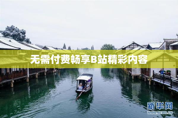 无需付费畅享B站精彩内容