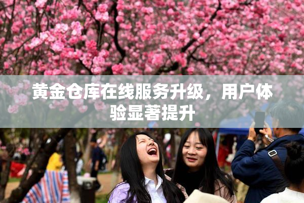 黄金仓库在线服务升级，用户体验显著提升