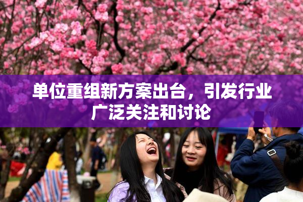 单位重组新方案出台，引发行业广泛关注和讨论