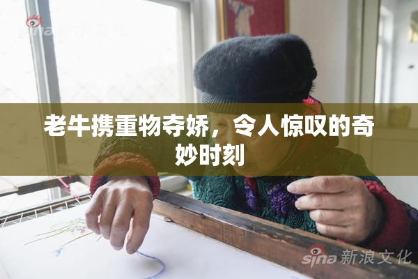 老牛携重物夺娇，令人惊叹的奇妙时刻