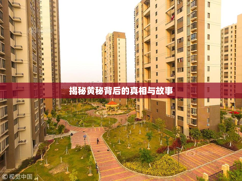 揭秘黄秘背后的真相与故事