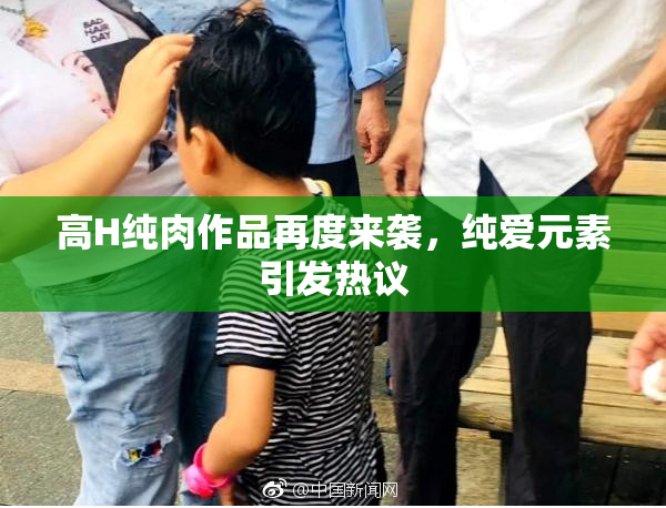 高H纯肉作品再度来袭，纯爱元素引发热议