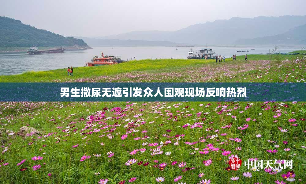 男生撒尿无遮引发众人围观现场反响热烈
