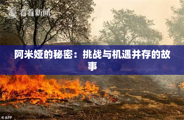 阿米娅的秘密：挑战与机遇并存的故事