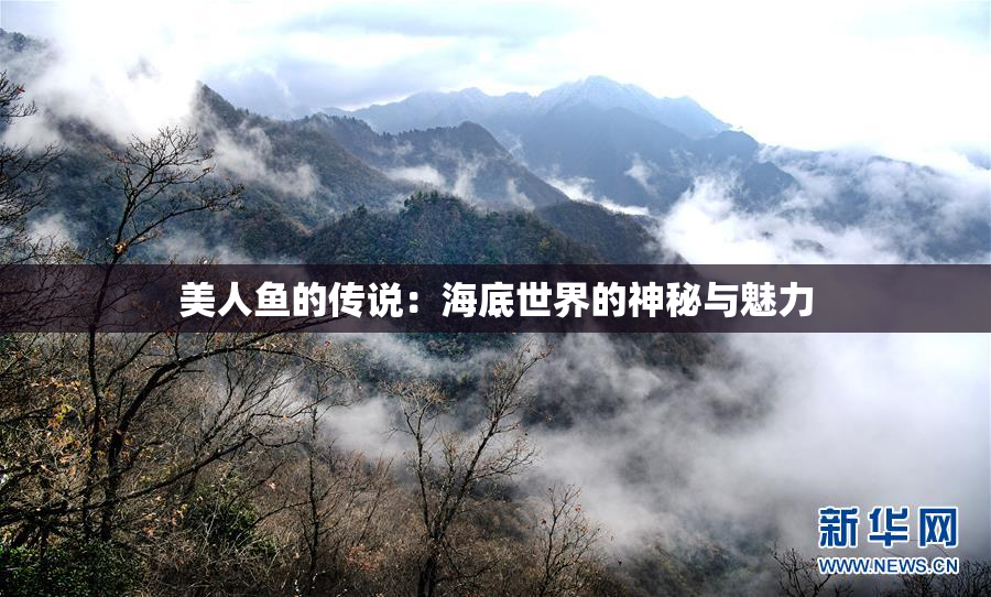 美人鱼的传说：海底世界的神秘与魅力