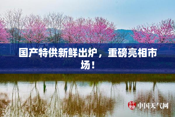 国产特供新鲜出炉，重磅亮相市场！
