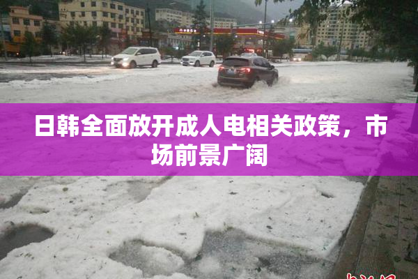 日韩全面放开成人电相关政策，市场前景广阔