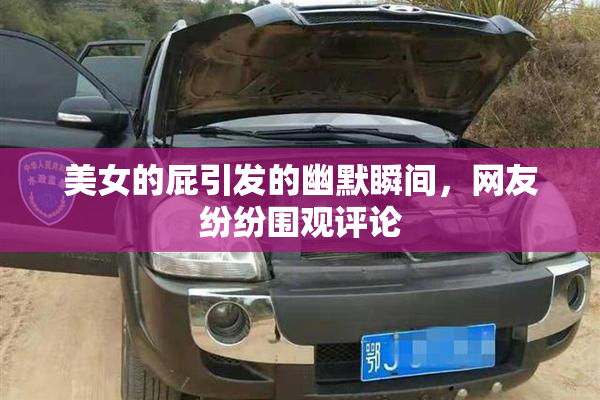 美女的屁引发的幽默瞬间，网友纷纷围观评论