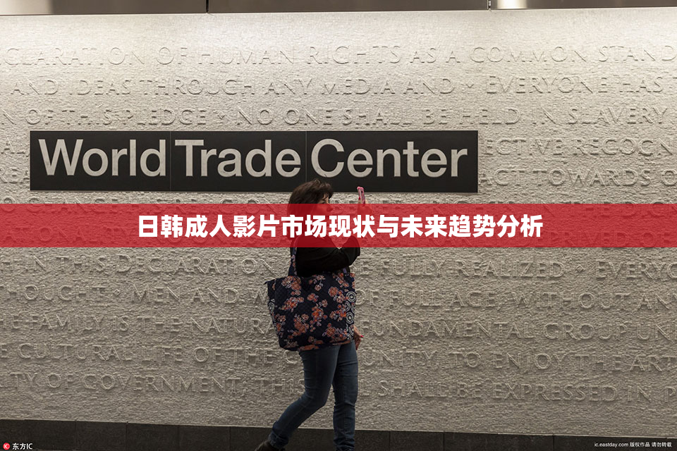 日韩成人影片市场现状与未来趋势分析