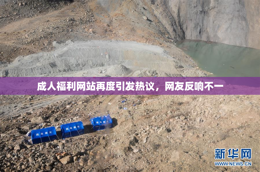 成人福利网站再度引发热议，网友反响不一