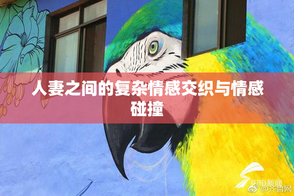 人妻之间的复杂情感交织与情感碰撞