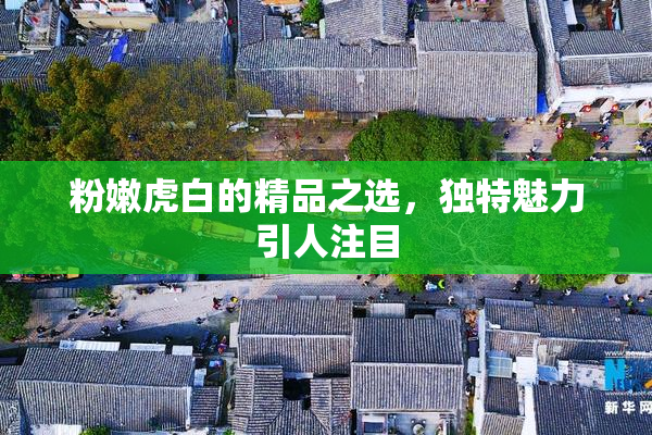 粉嫩虎白的精品之选，独特魅力引人注目