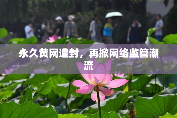永久黄网遭封，再掀网络监管潮流