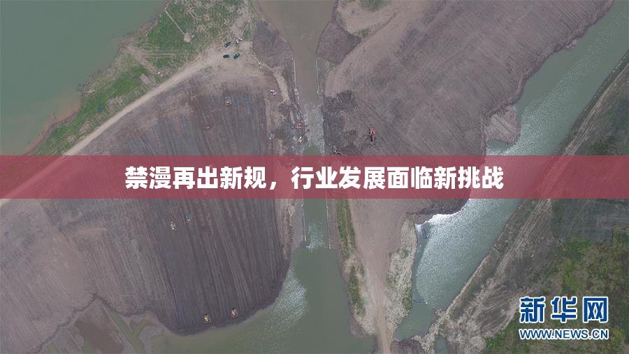 禁漫再出新规，行业发展面临新挑战