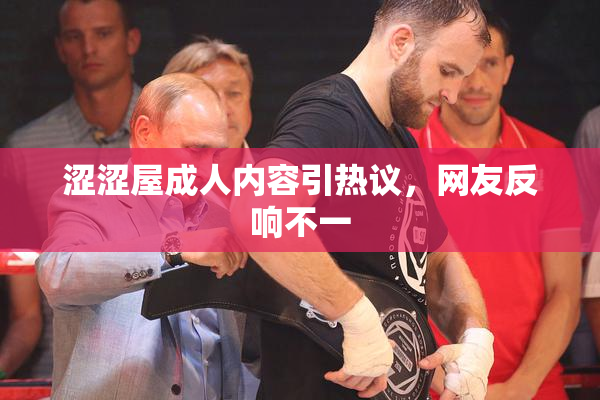 涩涩屋成人内容引热议，网友反响不一