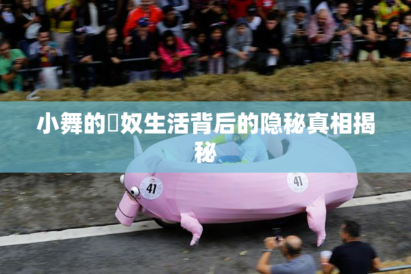 小舞的婬奴生活背后的隐秘真相揭秘