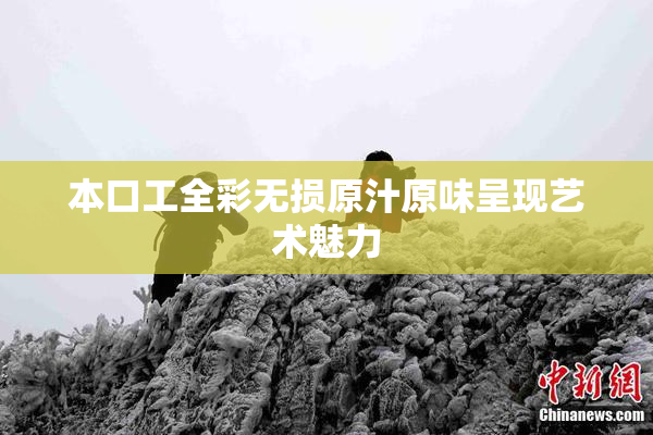 本口工全彩无损原汁原味呈现艺术魅力