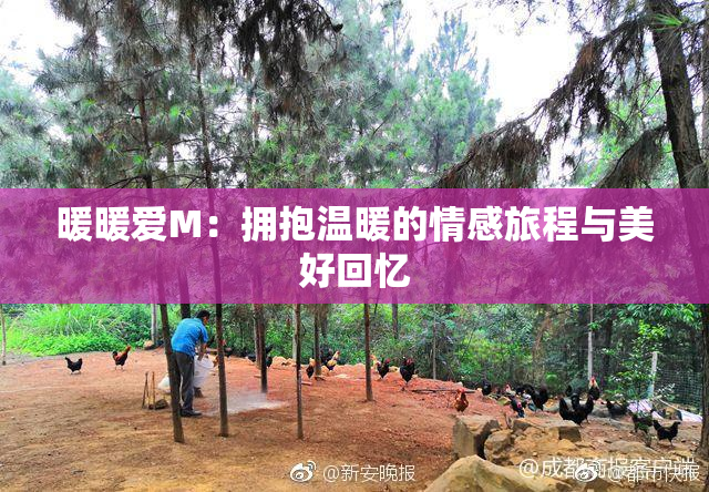 暖暖爱M：拥抱温暖的情感旅程与美好回忆