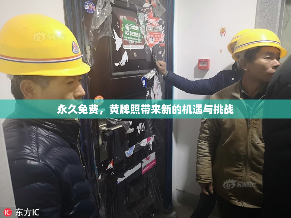 永久免费，黄牌照带来新的机遇与挑战
