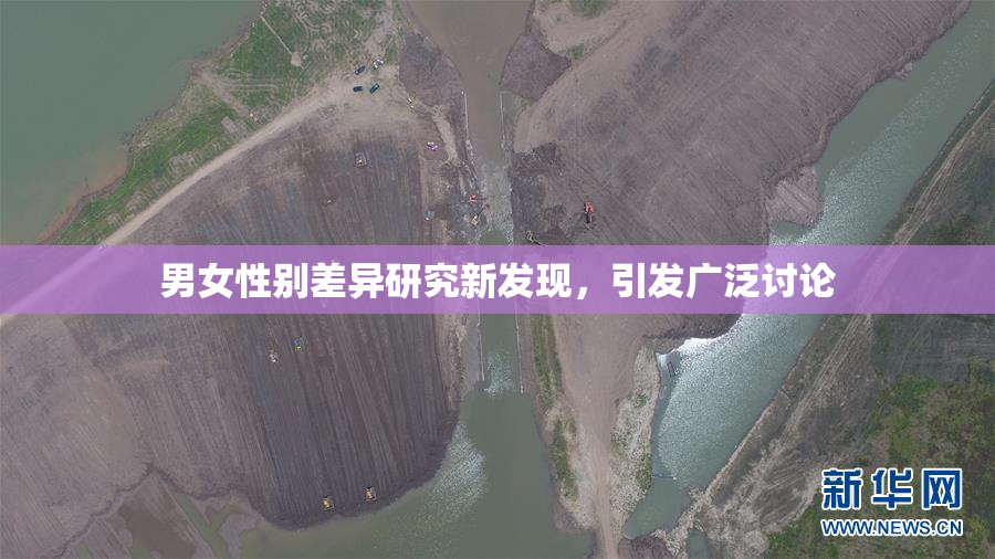 男女性别差异研究新发现，引发广泛讨论