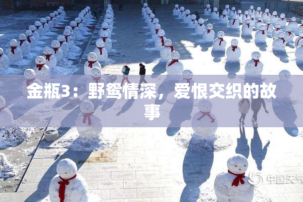 金瓶3：野鸳情深，爱恨交织的故事