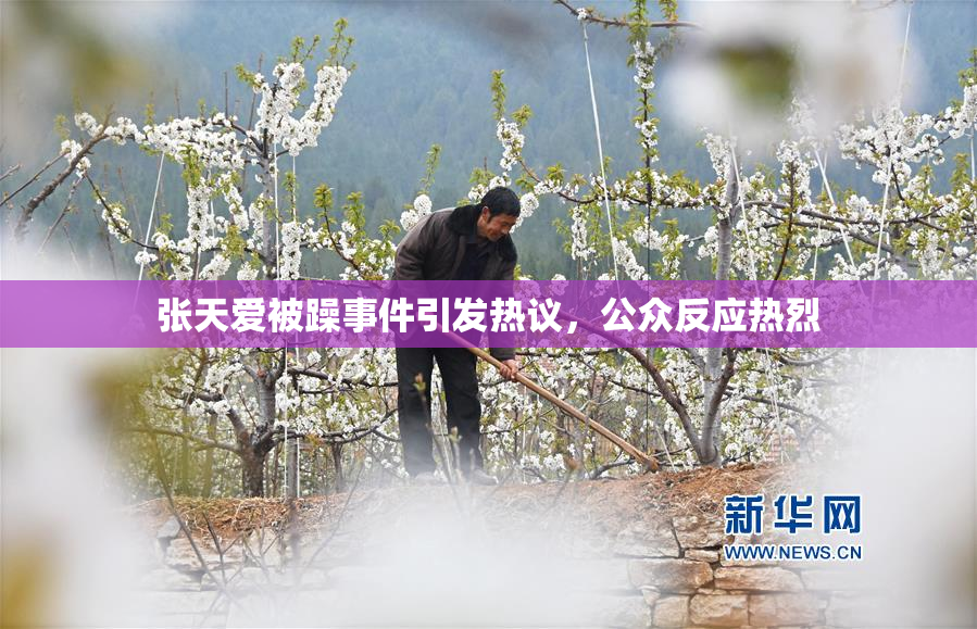张天爱被躁事件引发热议，公众反应热烈