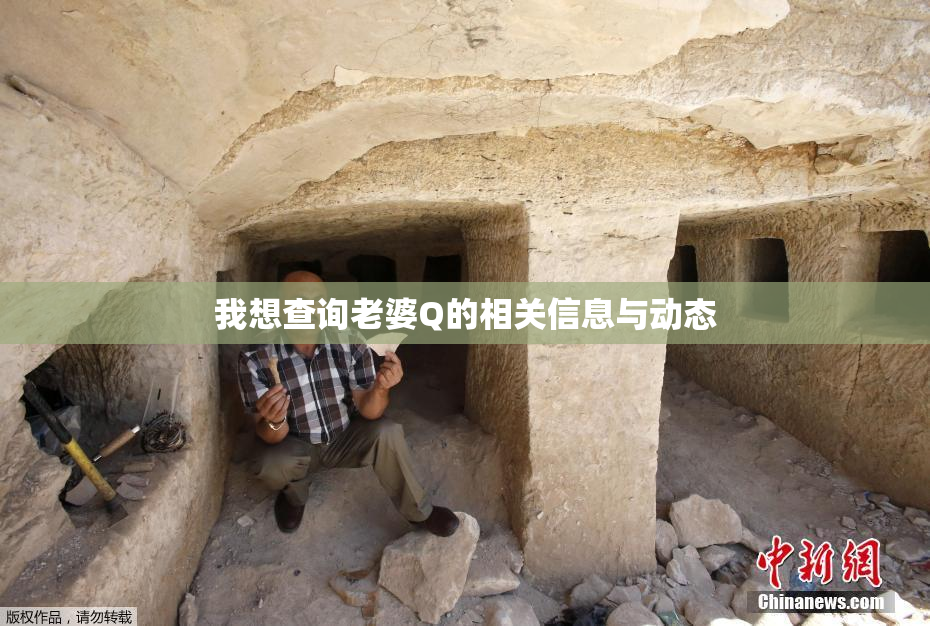 我想查询老婆Q的相关信息与动态